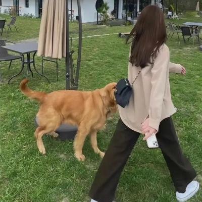 那座城这家人